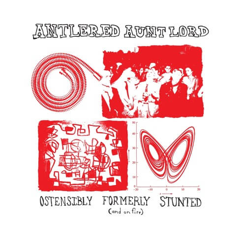 VINYL OF THE MONTH: Antlered Aunt Lord