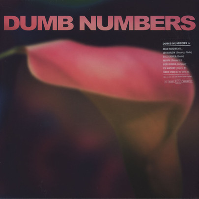Dumb Numbers: Performer’s Vinyl of the Month