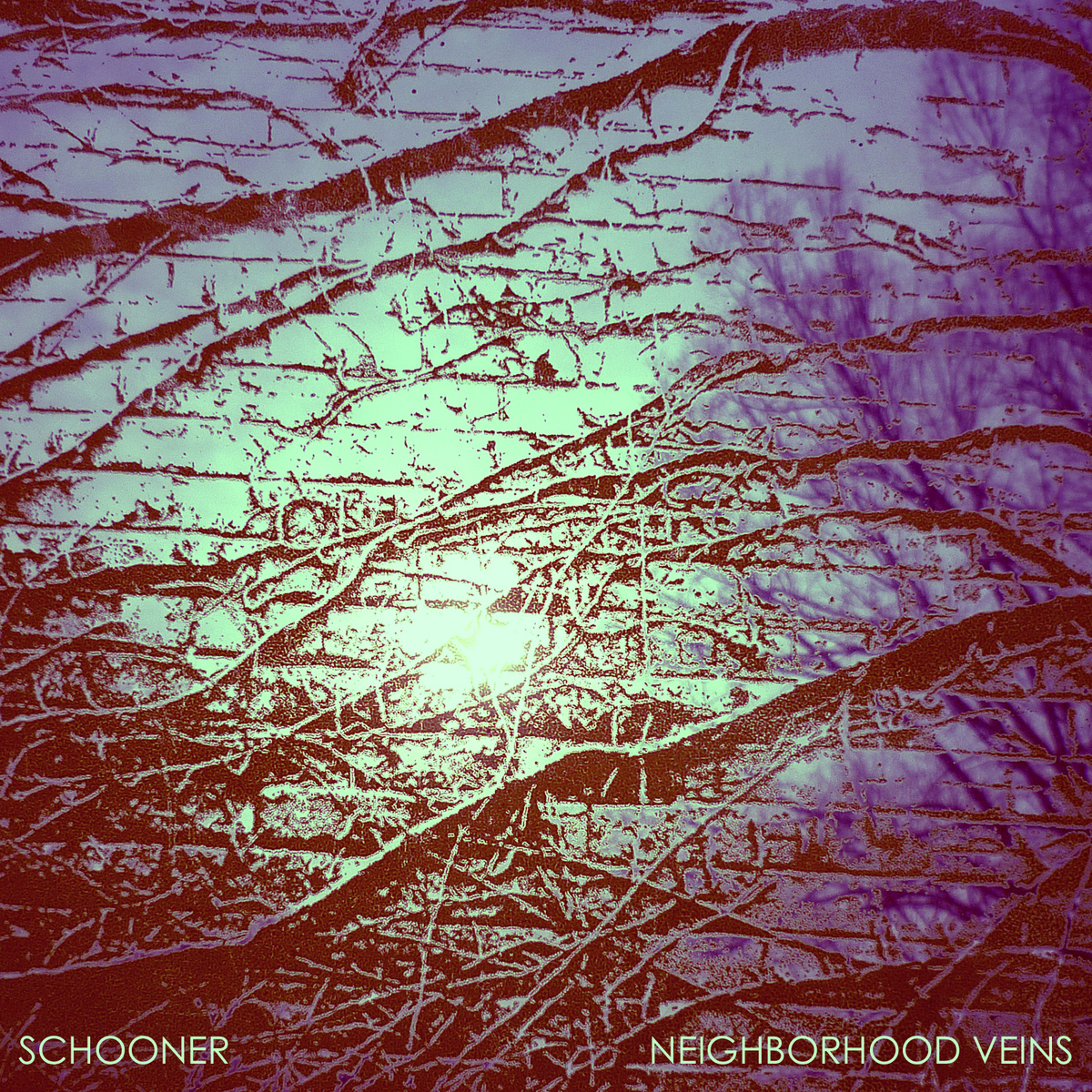 Schooner – “Neighborhood Veins” Review
