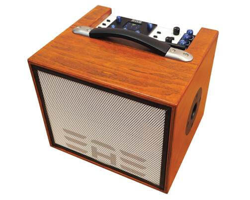 ELITE ACOUSTICS ENGINEERING ANNOUNCES the D6-8 PRO Acoustic Amplifier