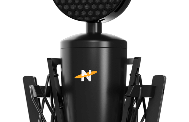 Neat King Bee II Condenser Microphone Review | Performer Mag